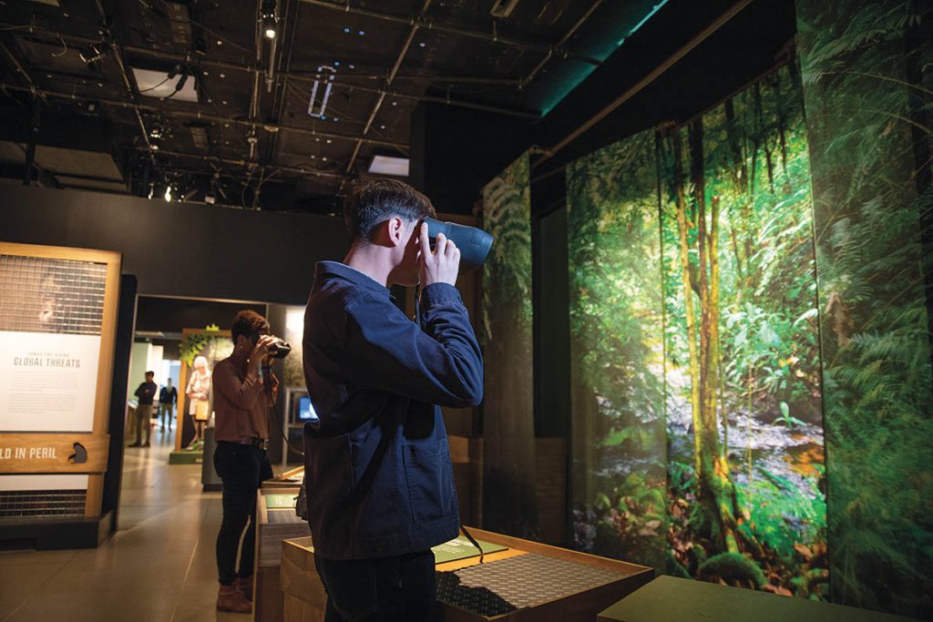 Falcon’s Creative Group Falcon’s Vision AR headset for location-based entertainment was introduced at the National Geographic Museum’s “Becoming Jane: The Evolution of Dr. Jane Goodall” exhibit in Washington, DC in 2019. (Photo: Rebecca Hale. Courtesy of Falcon’s Creative Group and National Geographic) 