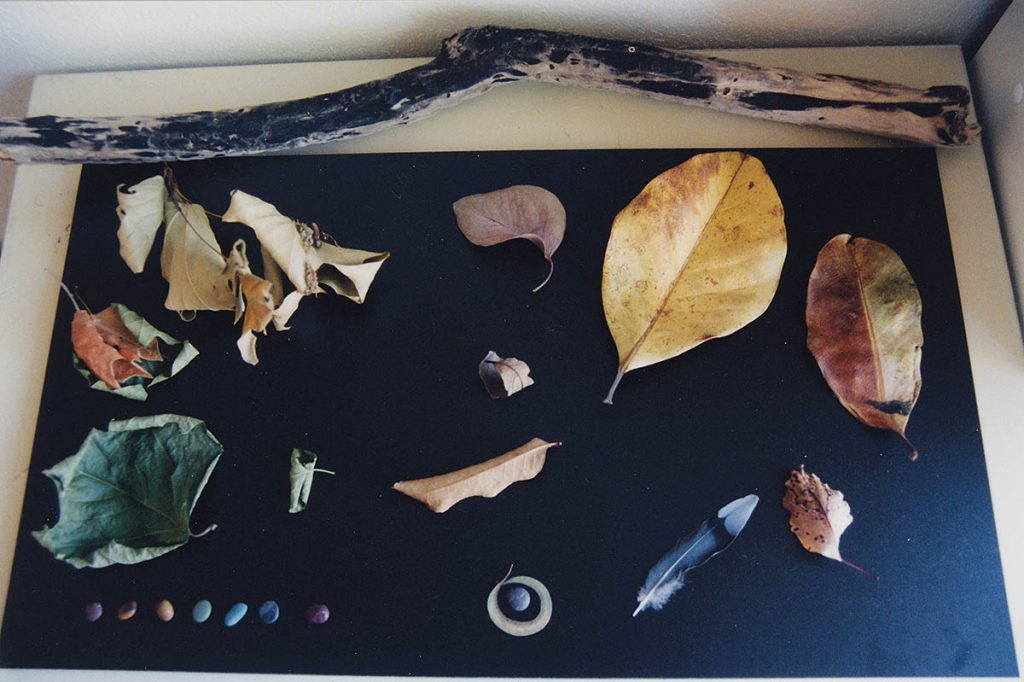 Leaves and pebbles were studied for A Bug’s Life to get enough detail to convey what the world looks like from an insect’s perspective. (Image courtesy of Pixar)