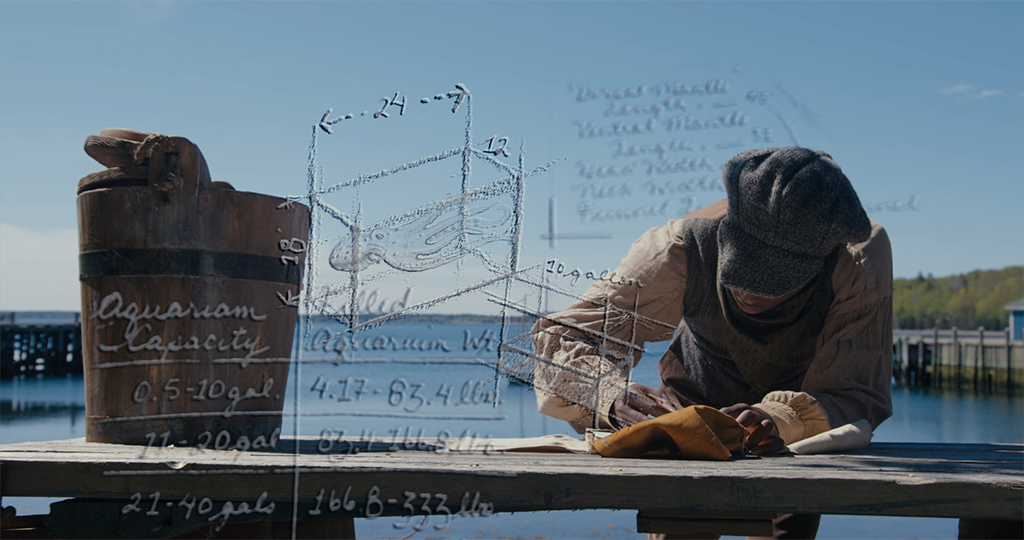 Computer graphics illustrate the brilliant scientific mind of Washington Black.