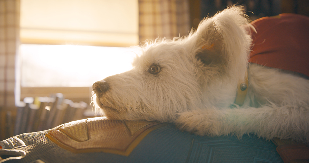 Given that Krypto was entirely CG, David Corenswet had to pretend that the canine was lying on his stomach. 