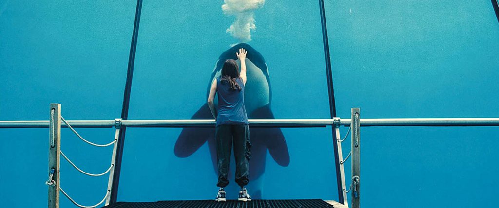 Bauwens served as Visual Effects Producer on Rust and Bone (2012), directed by Jacques Audiard. (Photo: Roger Arpajou. (Image courtesy of Why Not Productions and Sony Pictures Classics)