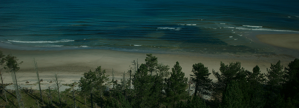 Union VFX constructed the full tidal causeway in CG, including FX-driven water, mist, seaweed and bioluminescent interactions when characters stepped in.