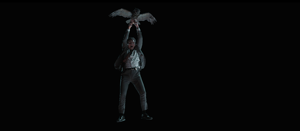 A 3D asset was created for both Liam Neeson and the owl.