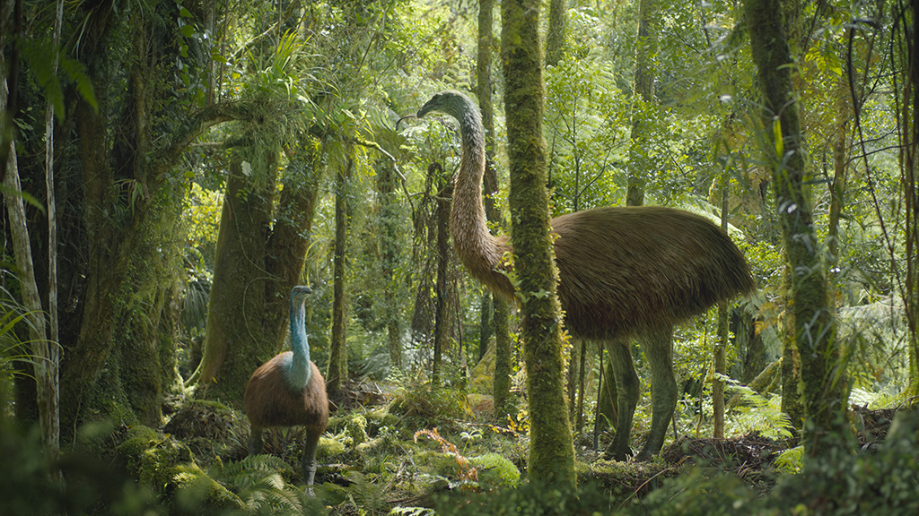 There is a strong craft element in making shots feel spontaneous, as in this one featuring a Dinornis.