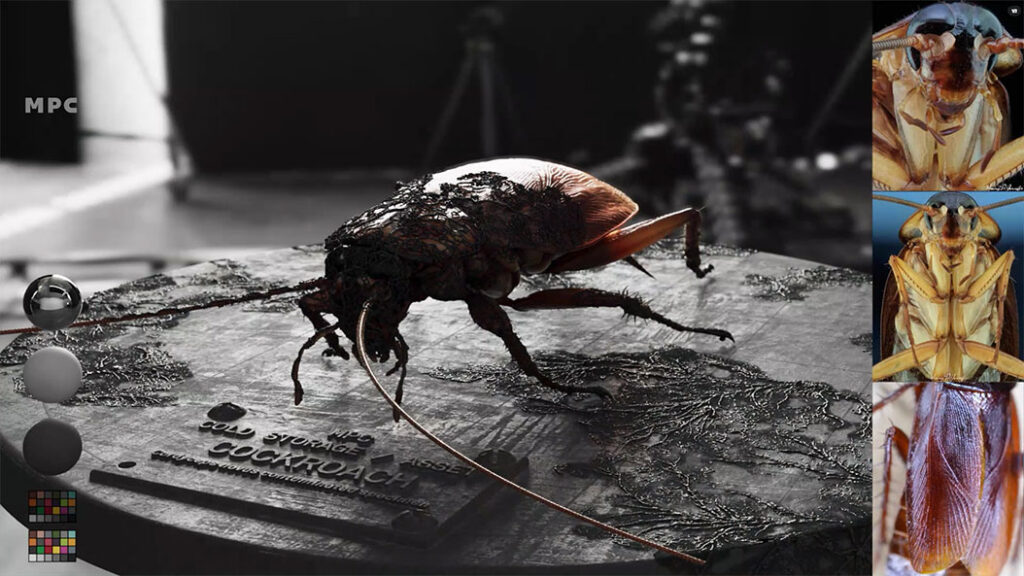 The fungal infection even spreads to cockroaches.