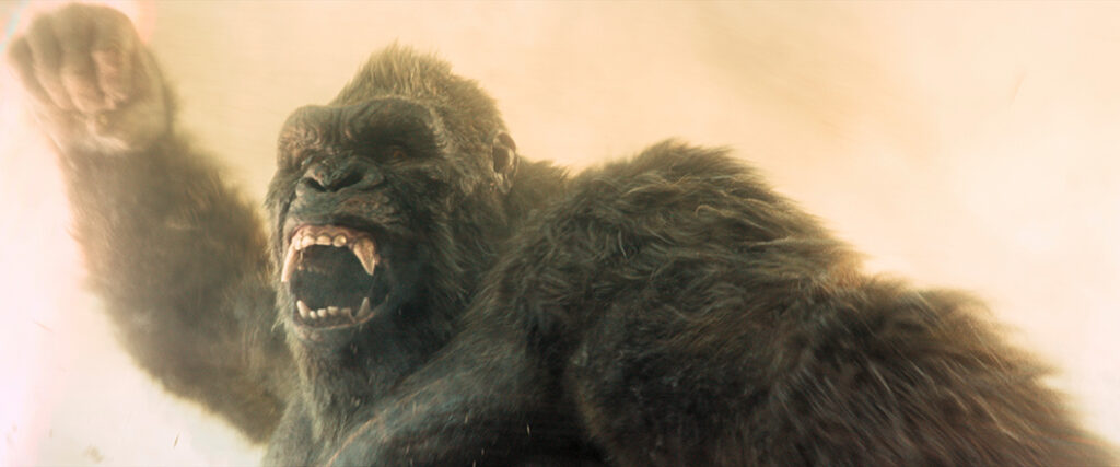 Kong was updated with dust and dirt matted in the fur.