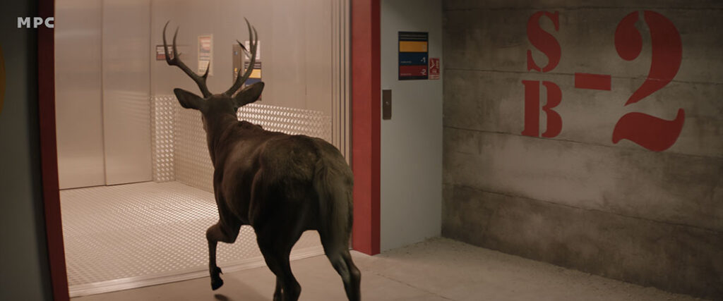 The animal demonstrating the most infected behavior is the deer.