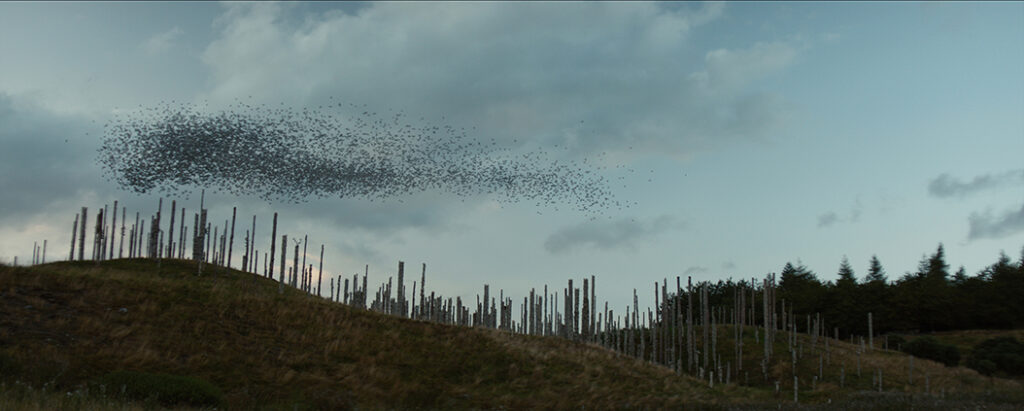 The murmuration of birds was entirely simulated in CG. 