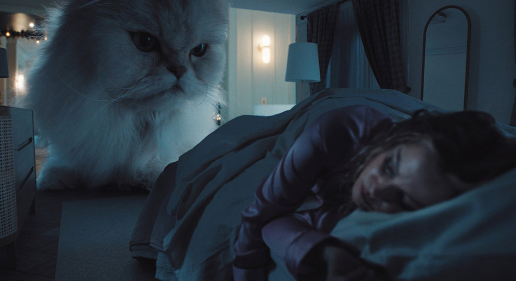 A playful cat causes havoc.