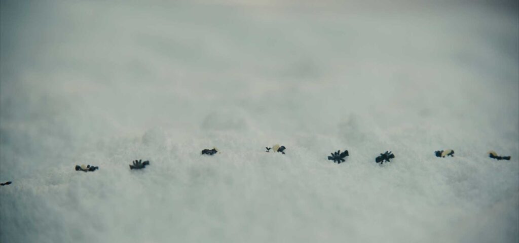 Among the references was footage captured outside of the production office of ants traversing a curb.