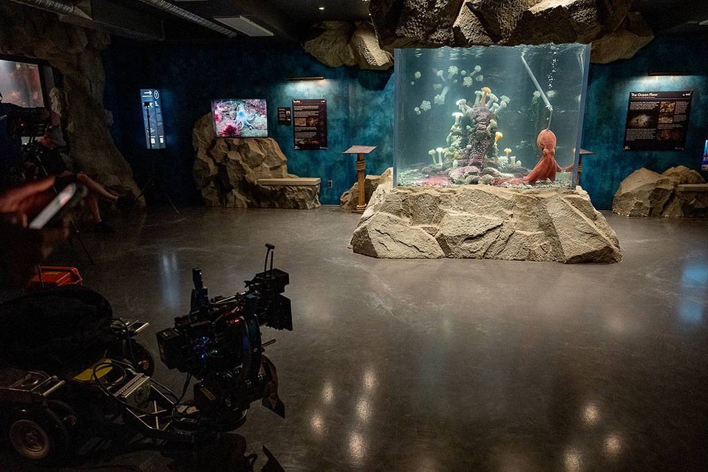 An interior aquarium set was constructed with additional footage captured at the Vancouver Aquarium.