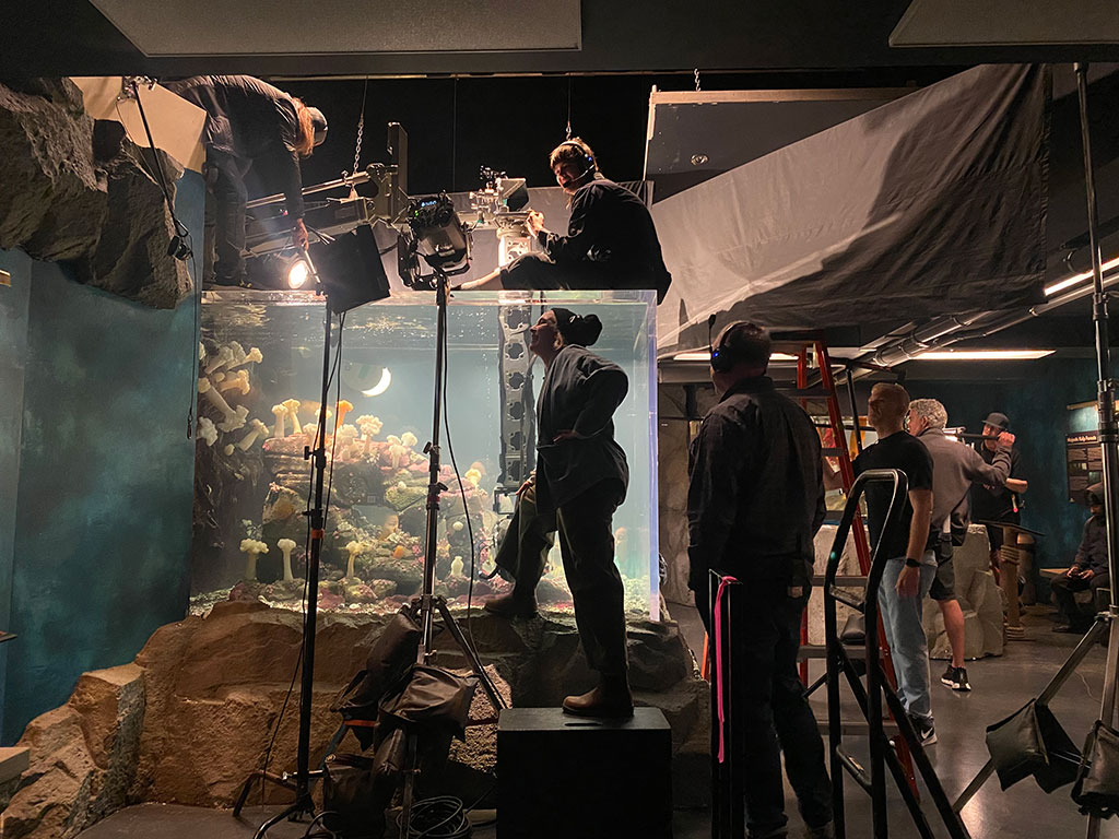 Director Olivia Newman and Cinematographer Ashley Connor used a camera filter to stretch the edges of the image anamorphically for shots from Marcellus's point of view.