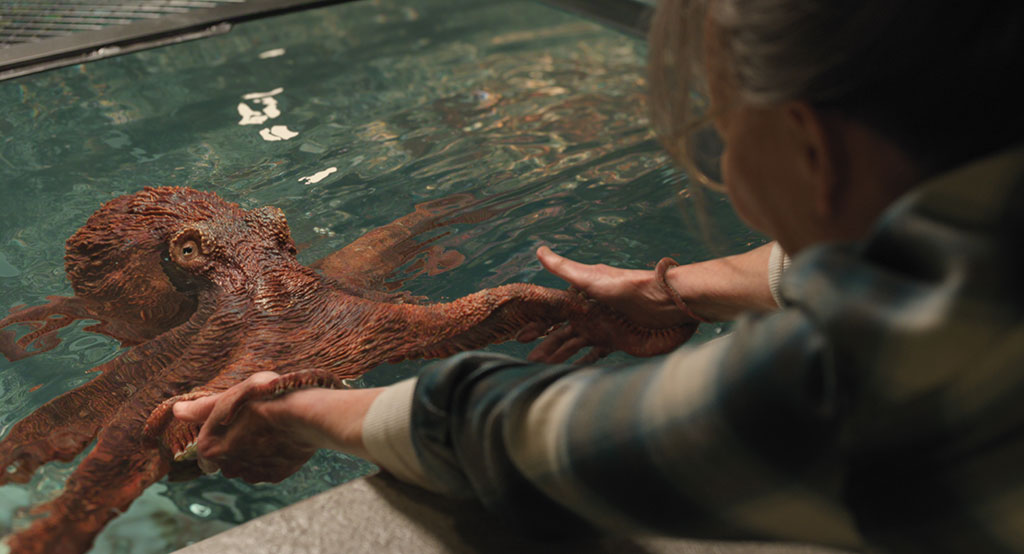 No puppet was used when Marcellus surfaced in the tank