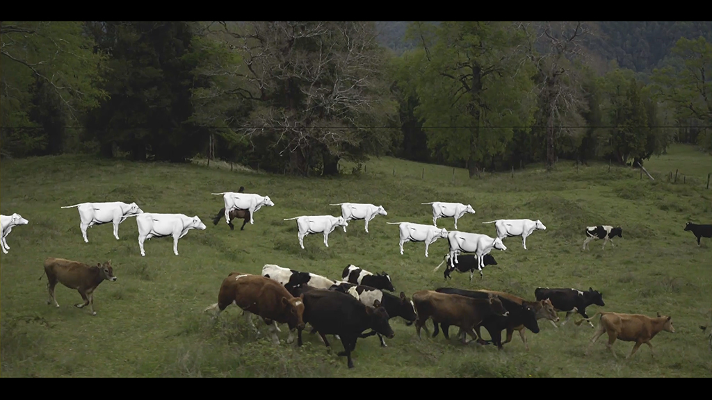The digital cows had to share the frame with real cattle photographed on set, creating a particularly difficult animation problem.