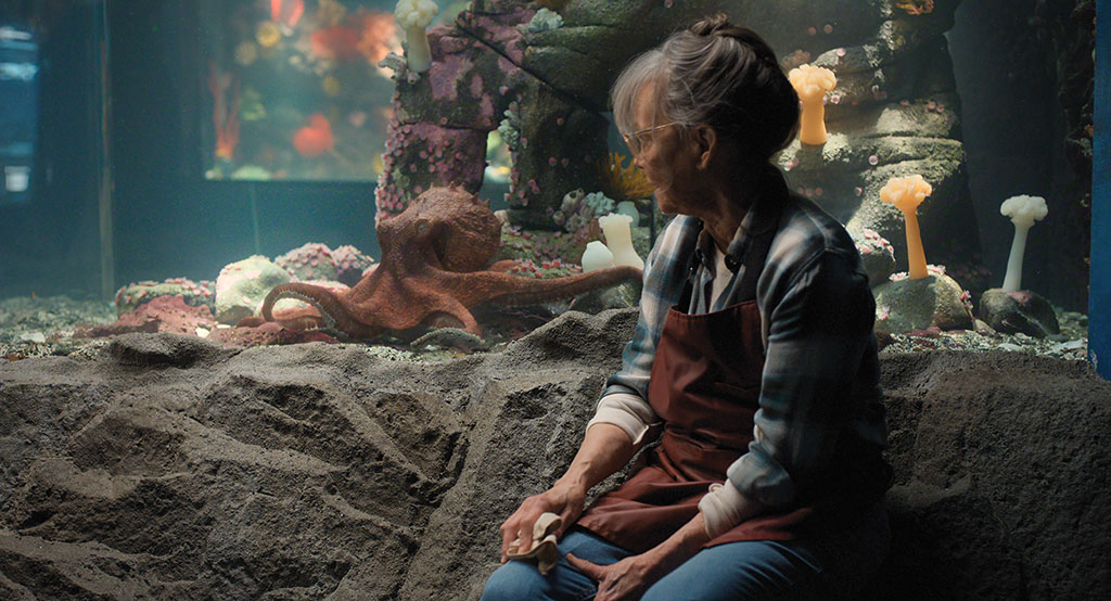 Octopuses are dynamic creatures in that they are always moving.