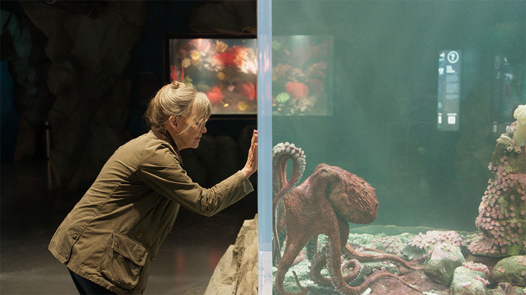 It was about finding cues with the animation, especially with eye twitches, to make Marcellus feel like he’s looking at and interacting with Tova (Sally Field).