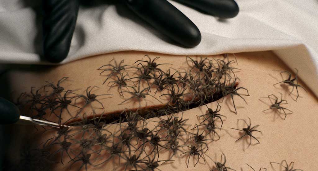 Real spiders are not good at following directions, so all the on-screen arachnids are CG.