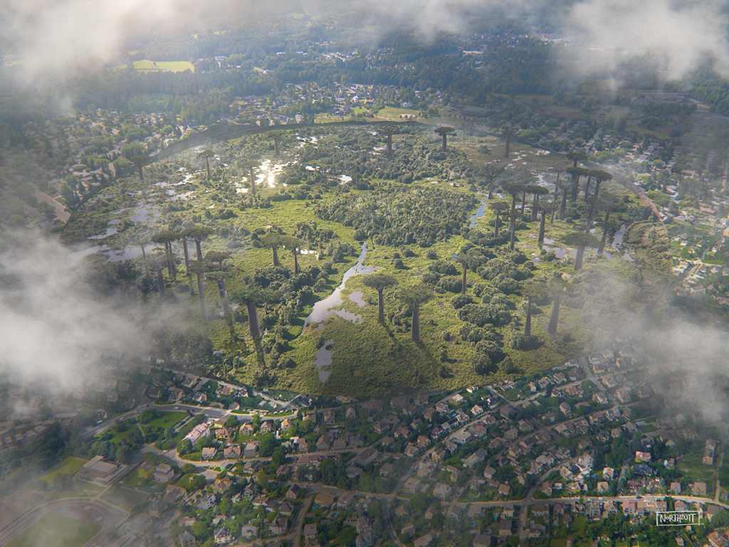 A wide-angle aerial view of Flowervale, Michigan.