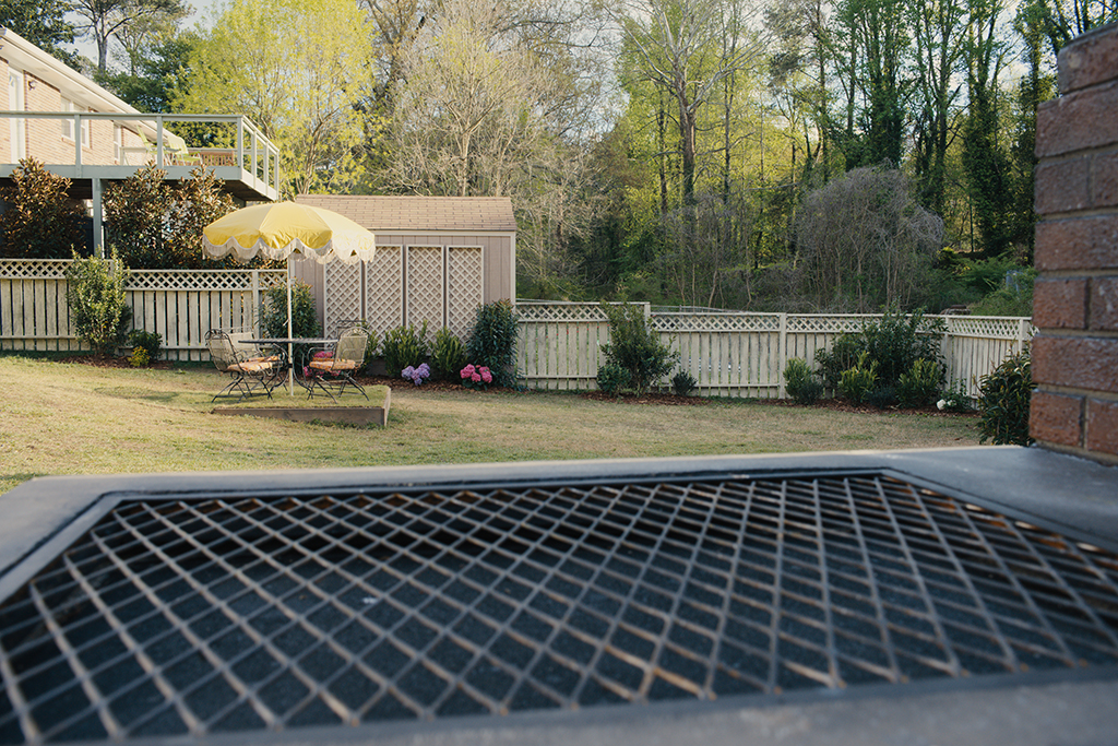 A backyard becomes the hunting ground for a Coelophysis.